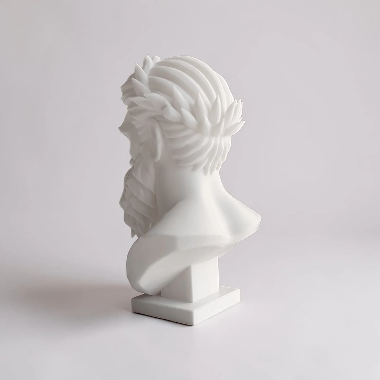 "Zeus" Modern Bust 5