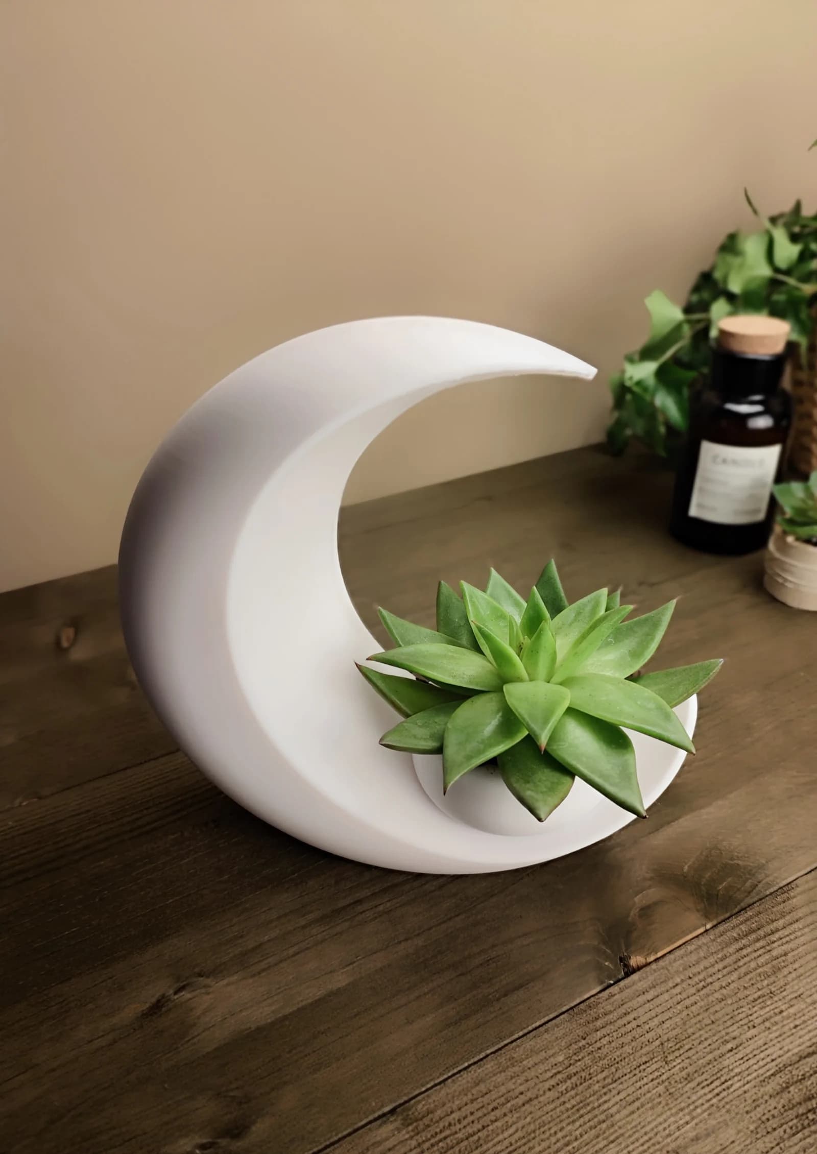 "Selene" Succulent Planter 2
