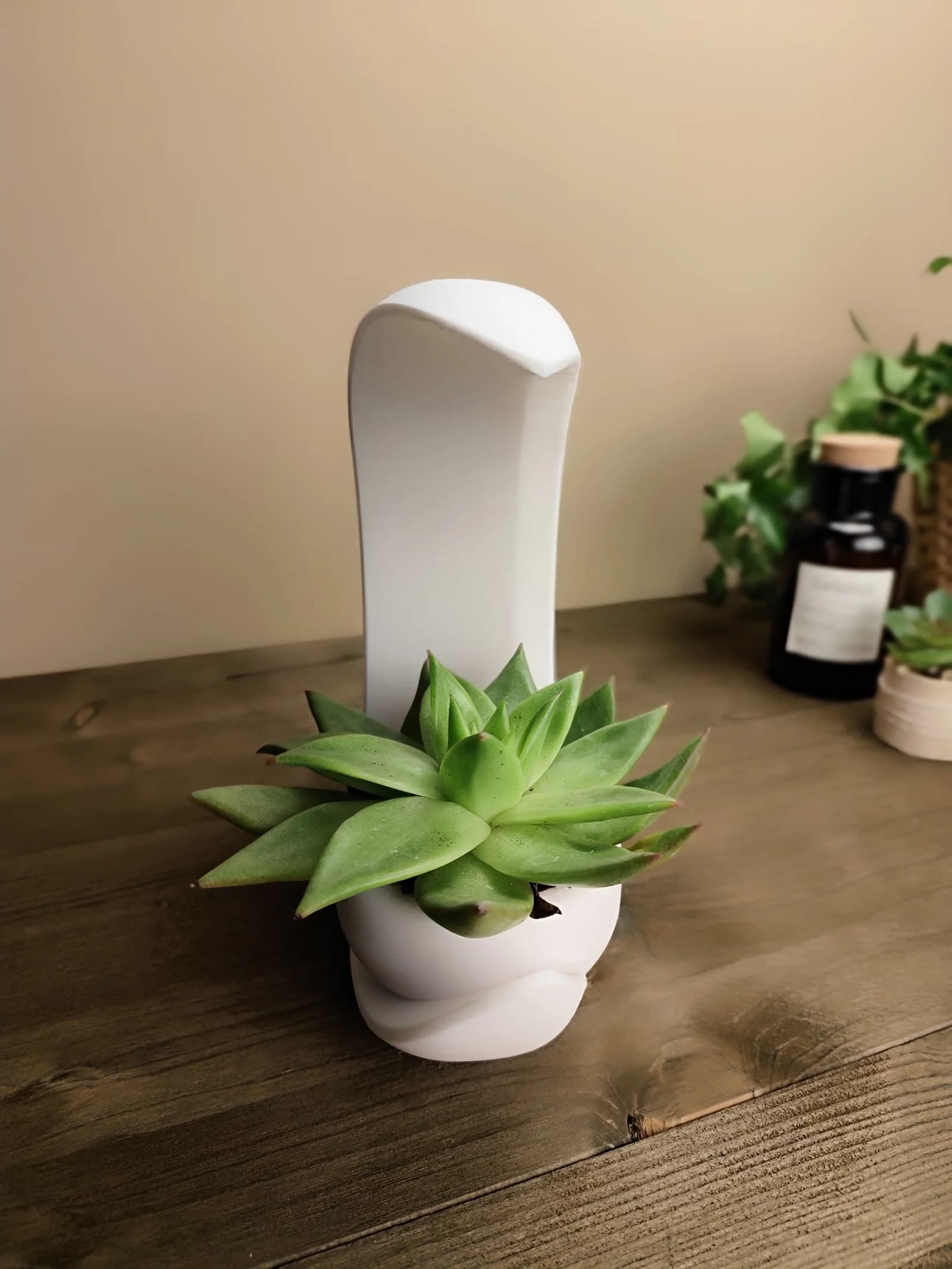 "Selene" Succulent Planter 3
